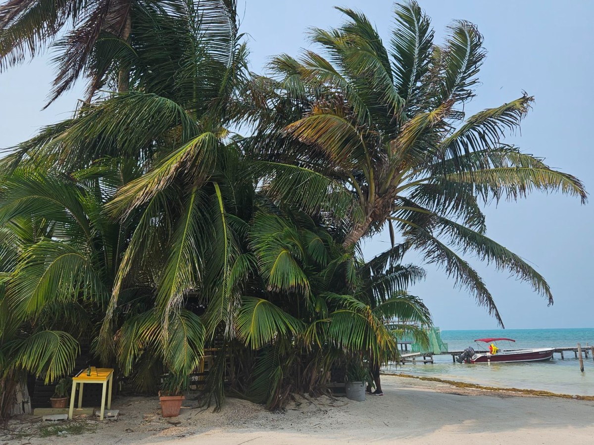 Grenzübergang von Guatemala nach Belize: Ein Erfahrungsbericht